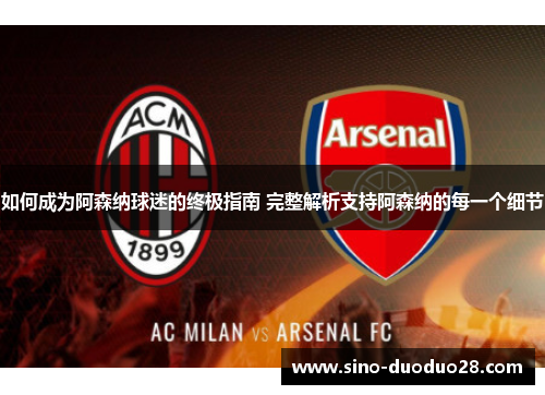 如何成为阿森纳球迷的终极指南 完整解析支持阿森纳的每一个细节