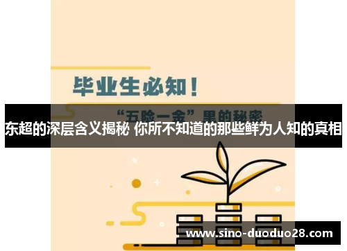 东超的深层含义揭秘 你所不知道的那些鲜为人知的真相