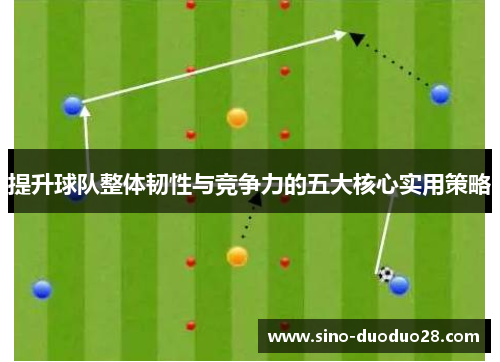 提升球队整体韧性与竞争力的五大核心实用策略