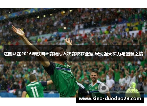 法国队在2016年欧洲杯赛场闯入决赛收获亚军 展现强大实力与遗憾之情