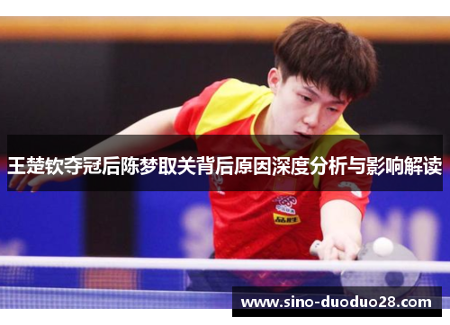 王楚钦夺冠后陈梦取关背后原因深度分析与影响解读