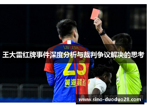 王大雷红牌事件深度分析与裁判争议解决的思考