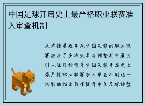 中国足球开启史上最严格职业联赛准入审查机制
